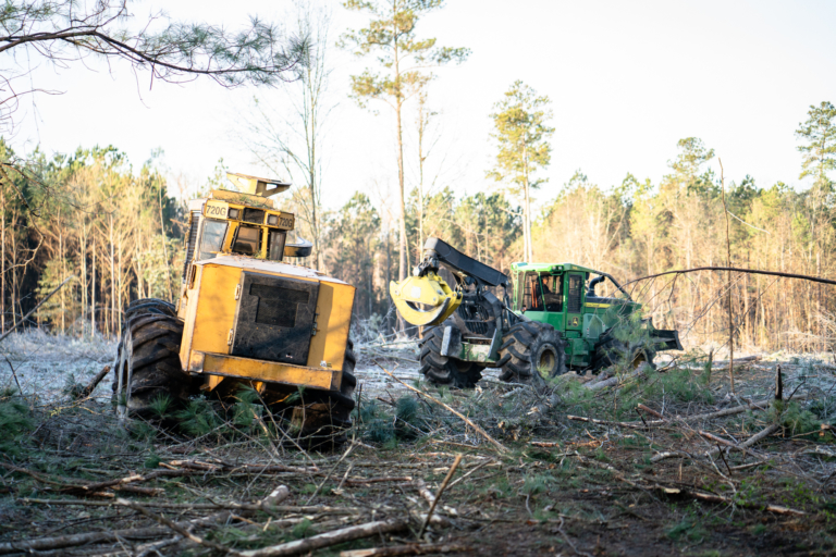 Timber Services in South Carolina Bellwether Forest Products