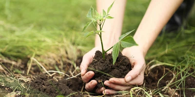 Plant a seed for your future with a 401(k)